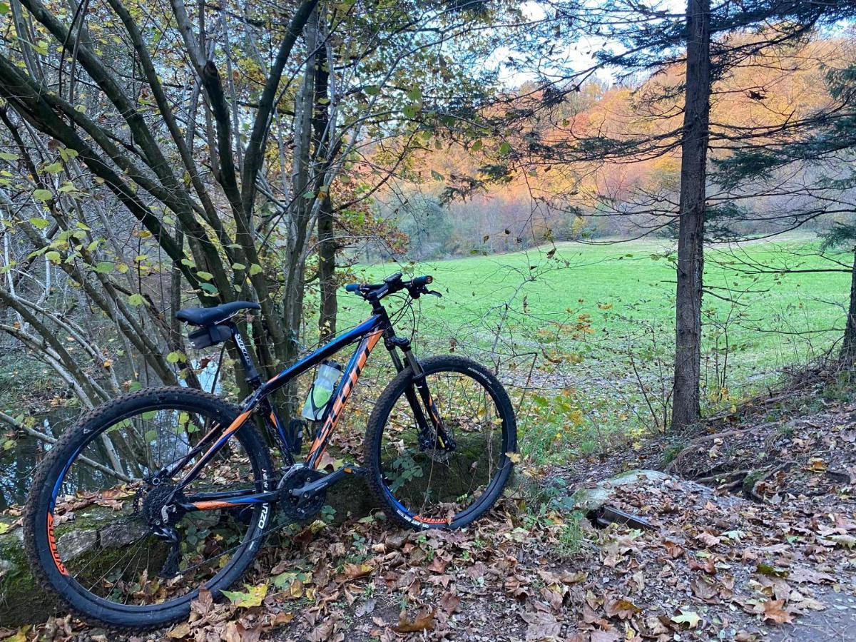 Impero Beauty & - Bike 3* Cantello